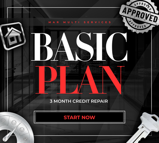 BASIC PLAN
